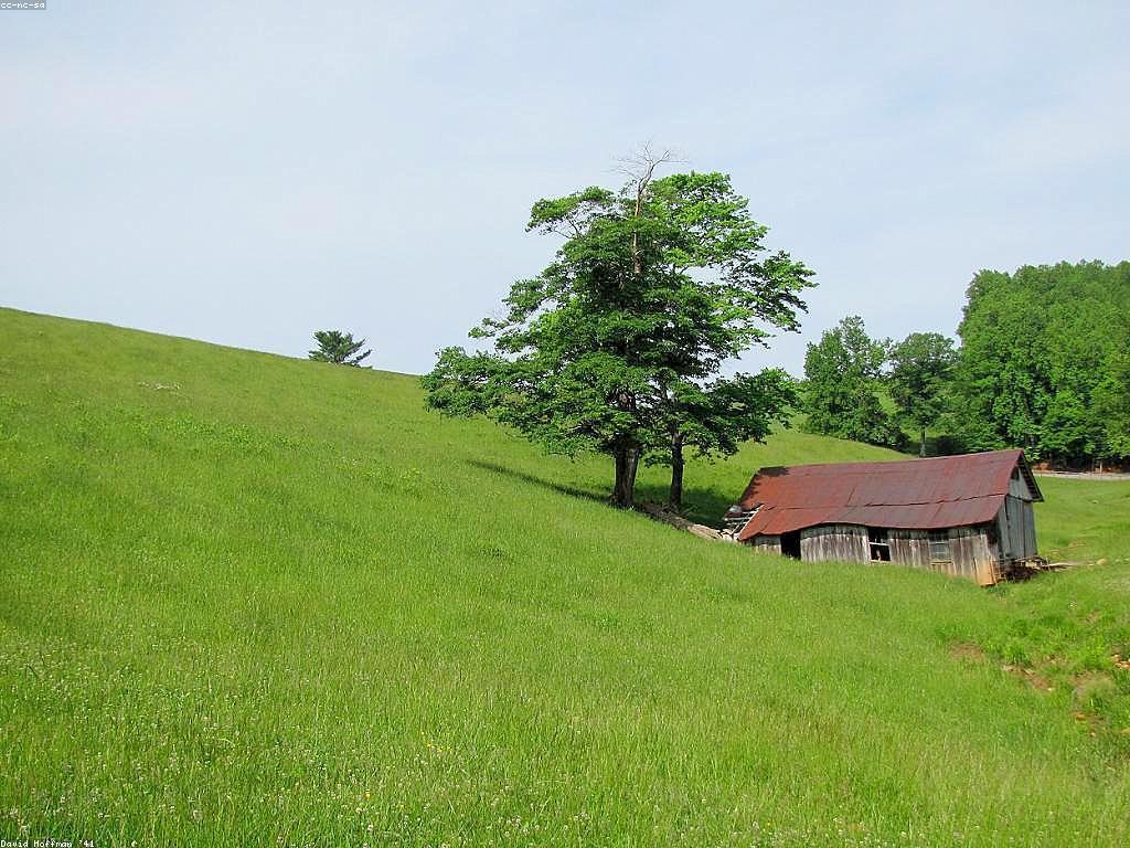 ការណែនាំស្លុត: របៀបល្អបំផុតសម្រាប់កសិកម្ម