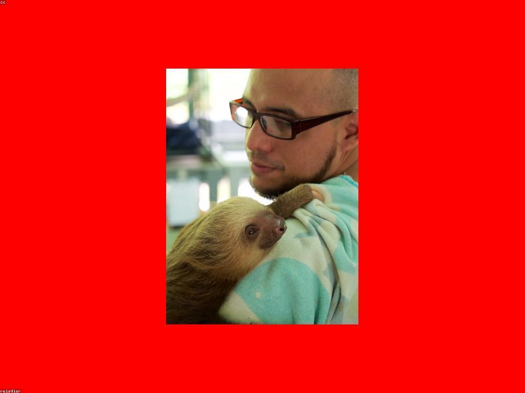 ការណែនាំស្លុត