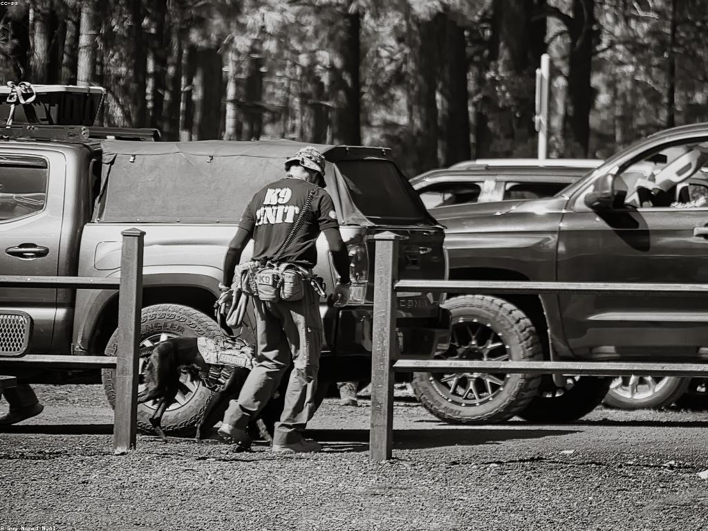 ការវាយតម្លៃសុវត្ថិភាពកាស៊ីណូ