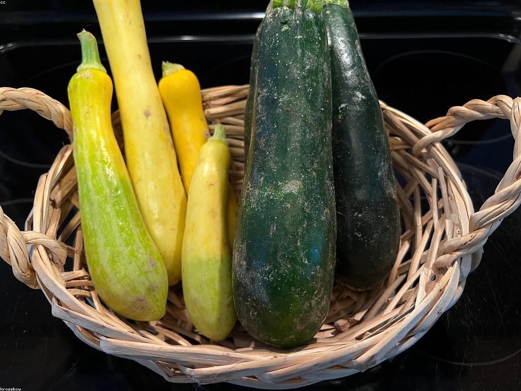 ការណែនាំស្លុត: វិធីសាស្ត្រកសិកម្មយូរបន្តសម្រាប់អនាគត