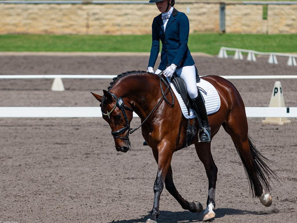 ព្រឹត្តិការណ៍និងប្រកួត: ការផ្សព្វផ្សាយសកម្មភាពកីឡា